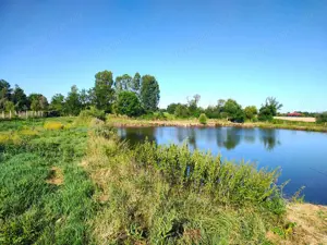 Teren 18.247 mp cu balta de pescuit – Misca, Comuna Chislaz, Bihor - imagine 6