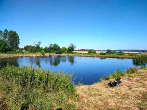 Teren 18.247 mp cu balta de pescuit – Misca, Comuna Chislaz, Bihor - imagine 3