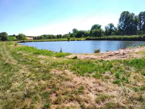 Teren 18.247 mp cu balta de pescuit – Misca, Comuna Chislaz, Bihor - imagine 4