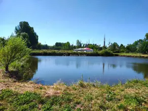 Teren 18.247 mp cu balta de pescuit – Misca, Comuna Chislaz, Bihor