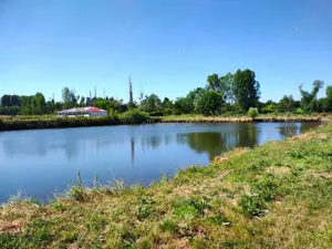 Teren 18.247 mp cu balta de pescuit – Misca, Comuna Chislaz, Bihor - imagine 7