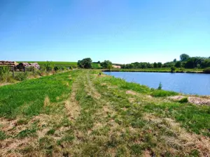 Teren 18.247 mp cu balta de pescuit – Misca, Comuna Chislaz, Bihor - imagine 5