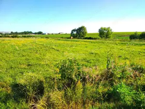 Teren 18.247 mp cu balta de pescuit – Misca, Comuna Chislaz, Bihor - imagine 8