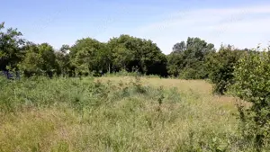 Teren deosebit langa Bucuresti