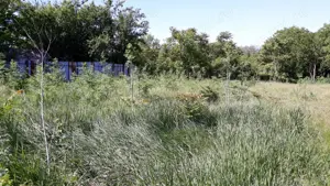 Teren deosebit langa Bucuresti - imagine 2