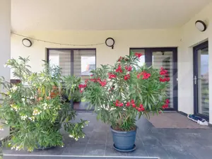 Duplex cu garaj dublu, 500 mp, Comuna Baciu - imagine 7