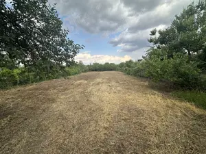 Casa de vanzare in loc. Zadareni jud. Arad - imagine 8 Casa de vanzare in loc. Zadareni jud. Arad - imagine 8