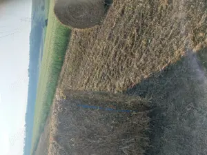 Baloti de vanzare lucerna 