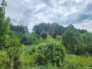 vand teren comuna chiojdu