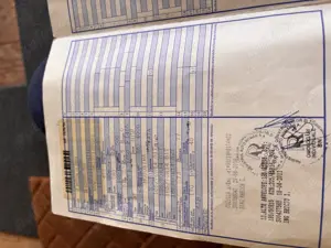 Vand volkswagen polo - imagine 5