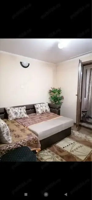 Caut coleg, colega de apartament