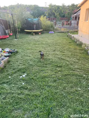 Vand casa in Sic, jud.Cluj - imagine 9