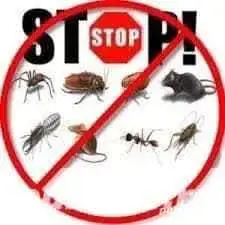 Deratizare.Dezinsectie,Dezinfectie.(D.D.D)