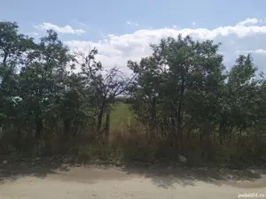 Teren Intravilan In Turda - imagine 4