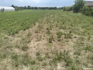 Teren Intravilan In Turda - imagine 9