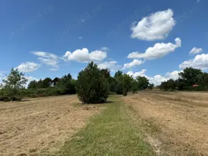 Casă P+M+Teren 1,6 ha   Ideal Pensiune Cămin varstnici Viile Satu Mare - imagine 2