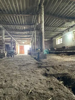 Depozit Grajd incomuna Tulca - imagine 3