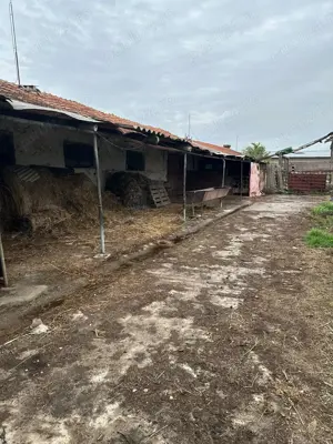 Depozit Grajd incomuna Tulca - imagine 4