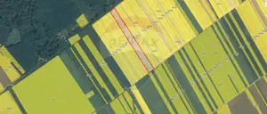 Teren intravilan Buftea, langa Padurea Mocanului - imagine 5