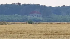 Teren intravilan Buftea, langa Padurea Mocanului