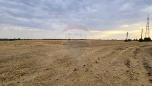 Teren intravilan Buftea, soseaua Tamasi - imagine 4