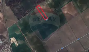 Teren intravilan Buftea, langa Padurea Mocanului - imagine 4