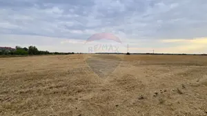 Teren intravilan Buftea, soseaua Tamasi - imagine 5