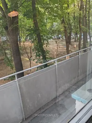 2 camere Soseaua Giurgiului,Vigoniei - imagine 3