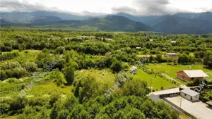 Teren de vanzare pe Valea Avrigului Sibiu - imagine 5