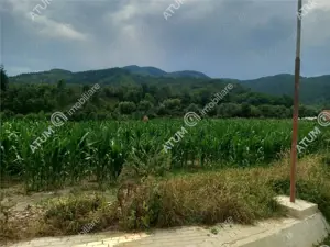 De vanzare 733 mp in Boita Sibiu - imagine 3