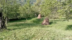 Vând 2 terenuri intravilane în zonă de munte   priveliște superbă, utilități - imagine 2