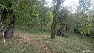 Vând 2 terenuri intravilane în zonă de munte   priveliște superbă, utilități - imagine 3