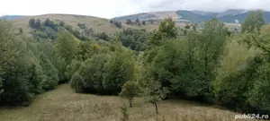 Vând 2 terenuri intravilane în zonă de munte   priveliște superbă, utilități - imagine 5