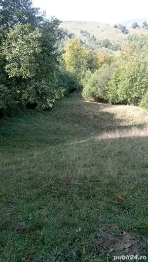 Vând 2 terenuri intravilane în zonă de munte   priveliște superbă, utilități - imagine 4