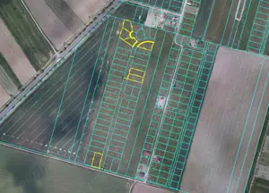 Loc de casa in Gepiu Colonie