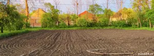 Vând teren intravilan in localitatea Bazoș  - imagine 2