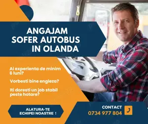 Angajam Sofer Autobus cat D, in Olanda!