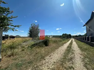 LOT 783 MP / OFERTA Teren Domnesti/ Teghes - imagine 4