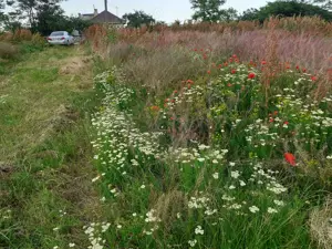 Vand teren intravilan in VADU - imagine 2