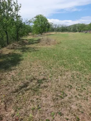 Vand sau inchiriez - 2500mp - teren - intravilan - Comuna Parscov, Buzau - imagine 2