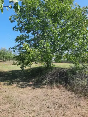 Vand sau inchiriez - 2500mp - teren - intravilan - Comuna Parscov, Buzau - imagine 4