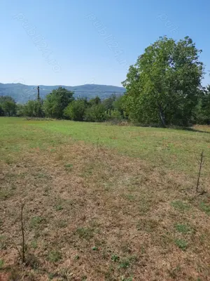 Vand sau inchiriez - 2500mp - teren - intravilan - Comuna Parscov, Buzau - imagine 8