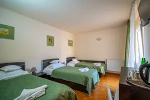 Vilă de vânzare  - imagine 3