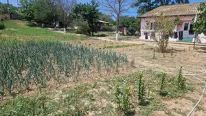  MAHMUDIA-TERENURI SI CASE - imagine 9