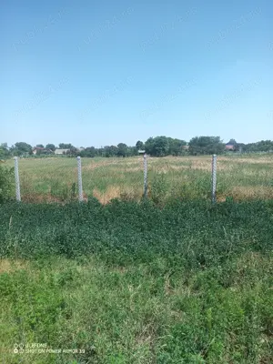 Teren intravilan construibil Pădureni Timiș