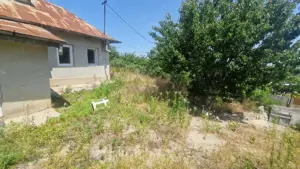  MAHMUDIA-TERENURI SI CASE - imagine 7