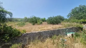  MAHMUDIA-TERENURI SI CASE - imagine 8