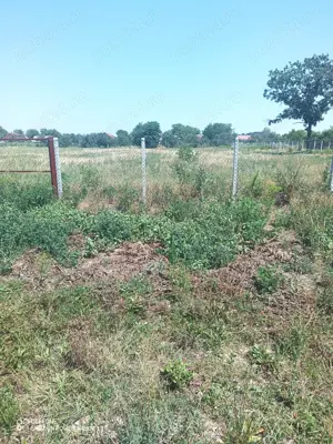 Teren intravilan construibil Pădureni Timiș  - imagine 2