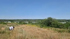  MAHMUDIA-TERENURI SI CASE - imagine 3