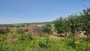  MAHMUDIA-TERENURI SI CASE - imagine 5